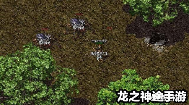 1.76复古金币版本传奇私服，什么职业搭配最厉害？