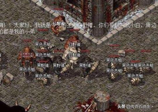 热血传奇：复古版本中哪个地图是最喜欢去的，为什么？