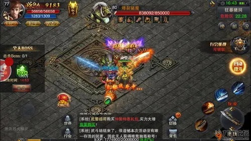 新开合击传奇私服中战士宠物搭配攻略，如何提高自身战斗力？